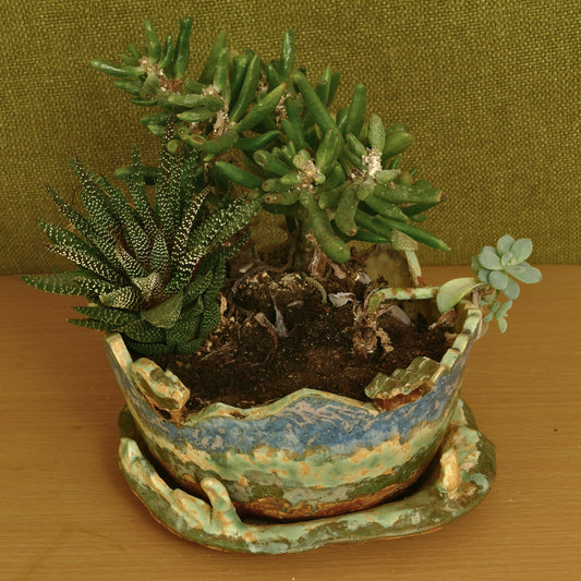 Succulent Planter